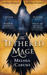 The Tethered Mage (ISBN: 9780356510613)