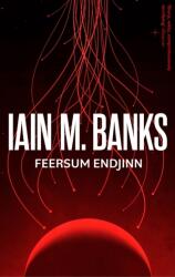 Feersum Endjinn (ISBN: 9780356521749)