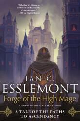 Forge of the High Mage (ISBN: 9781250788610)