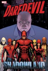 Daredevil: Shadowland Omnibus Cassaday Cover (ISBN: 9781302957780)