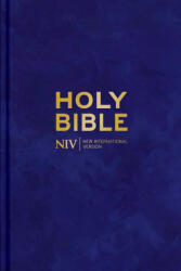 NIV Larger Print Personal Velvet Bible - New International Version (ISBN: 9781399816588)
