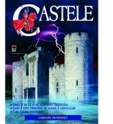 Castele - Lesley Sims (ISBN: 9789737171146)