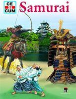 Samurai - Rainer Crummenerl (ISBN: 9789737172426)