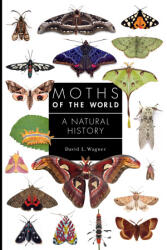 Moths of the World - A Natural History - David Wagner (ISBN: 9780691248288)