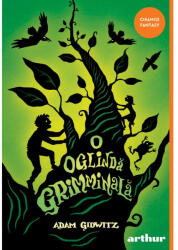 O oglindă grimminală (ISBN: 9786303214924)