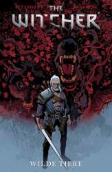 The Witcher (ISBN: 9783741640483)