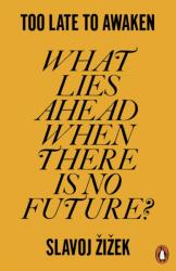 Too Late to Awaken (ISBN: 9781802063677)