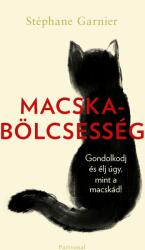 Macskabölcsesség (2025)