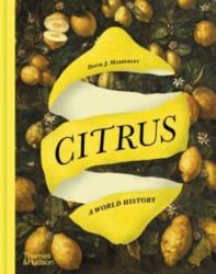 Citrus (2024)