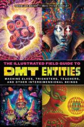 The Illustrated Field Guide to Dmt Entities - Sara Phinn Huntley (ISBN: 9781644119198)