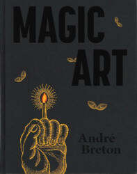 Magic Art - Merlin Cox, Robert Shehu-Ansell, Dawn Ades, Krzysztof Fijalkowski, Michael Richardson (ISBN: 9781399971188)