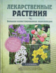 Лекарственные растения. Большая иллюстрированная энциклопедия - Т. Н. Ильина (2022)