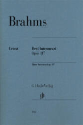 Brahms, Johannes - 3 Intermezzi op. 117 - Johannes Brahms (2013)