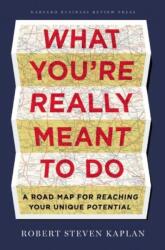 What You're Really Meant to Do (2013)