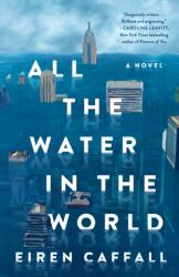 All the Water in the World (ISBN: 9781250353528)