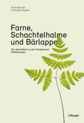Farne, Schachtelhalme und Bärlappe (ISBN: 9783258081731)