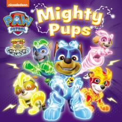 PAW Patrol Mighty Pups Board Book (2024)