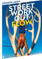 Street workout flow (2025)