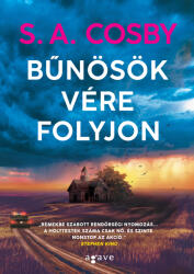 Bűnösök vére folyjon (2025)