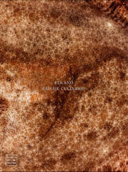 Elkano, mar de brasas - AITOR ARREGUI (ISBN: 9788408151128)