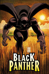 Black Panther by Reginald Hudlin Omnibus John Romita Jr. Cover - Peter Milligan, John Romita, Marvel Various (ISBN: 9781302963484)
