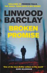 Broken Promise (ISBN: 9781409146476)