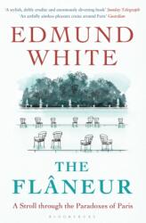 The Flaneur (ISBN: 9781408864760)