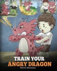 Train Your Angry Dragon (ISBN: 9781948040075)
