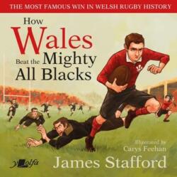 How Wales Beat the Mighty All Blacks (ISBN: 9781800990340)