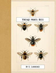 Vintage Prints: Bees - E. Lawrence (ISBN: 9781720460084)