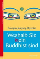 Weshalb Sie (k)ein Buddhist sind - Dzongsar J Khyentse (2013)