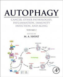Autophagy: Cancer, Other Pathologies, Inflammation, Immunity, Infection, and Aging - M Hayat (2013)
