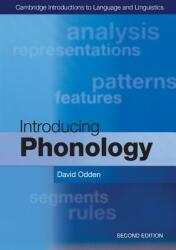 Introducing Phonology (2013)