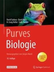 Purves Biologie (ISBN: 9783662581711)