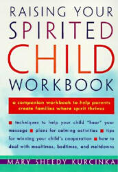 Raising Your Spirited Child Workbook - Mary Sheedy Kurcinka (ISBN: 9780060952402)