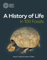 O istorie a vieții în 100 de fosile (ISBN: 9780565095499)
