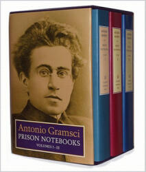 Prison Notebooks - Antonio Gramsci (ISBN: 9780231157551)