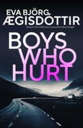 Boys Who Hurt (ISBN: 9781916788206)