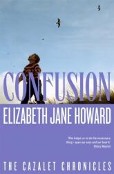 Confuzie (ISBN: 9781035042463)