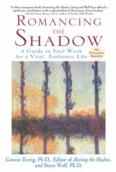 Romancing the Shadow - Connie Zweig, Steve Wolf (ISBN: 9780345417404)