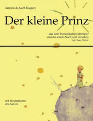 kleine Prinz - Antoine de Saint-Exupéry (ISBN: 9783843099172)