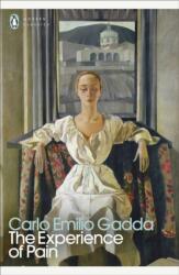 The Experience of Pain (ISBN: 9780241706992)