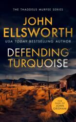 Defending Turquoise (ISBN: 9781036700171)