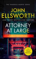 Attorney at Large (ISBN: 9781036700157)
