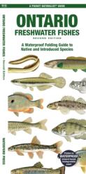 Ontario Freshwater Fishes (ISBN: 9781620057117)