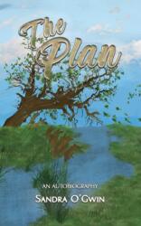 The Plan (ISBN: 9781035868155)