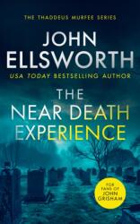 The Near Death Experience (ISBN: 9781036700232)