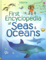 Ben Denne: First Encyclopedia of Seas and Oceans (ISBN: 9781836041658)