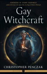 Gay Witchcraft (ISBN: 9781578638536)