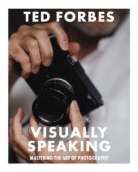 Visually Speaking (ISBN: 9781646434350)